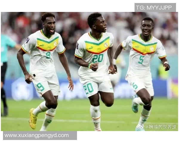 塞加内尔与阿尔及利亚的激烈对决揭示非洲足球的魅力与潜力