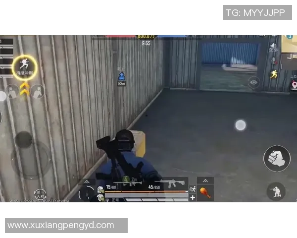 热议和平精英：LNG战队如何引领游戏节奏的新变革与挑战